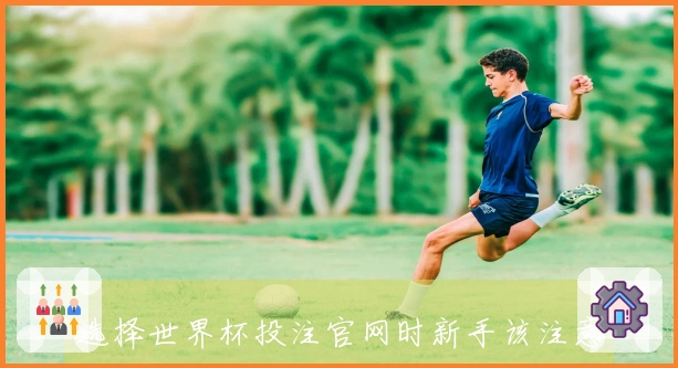选择世界杯投注官网时新手该注意哪些平台安全性问题
